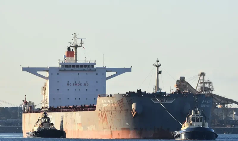DONG A EOS Bulk Carrier IMO 9452579 photo 8