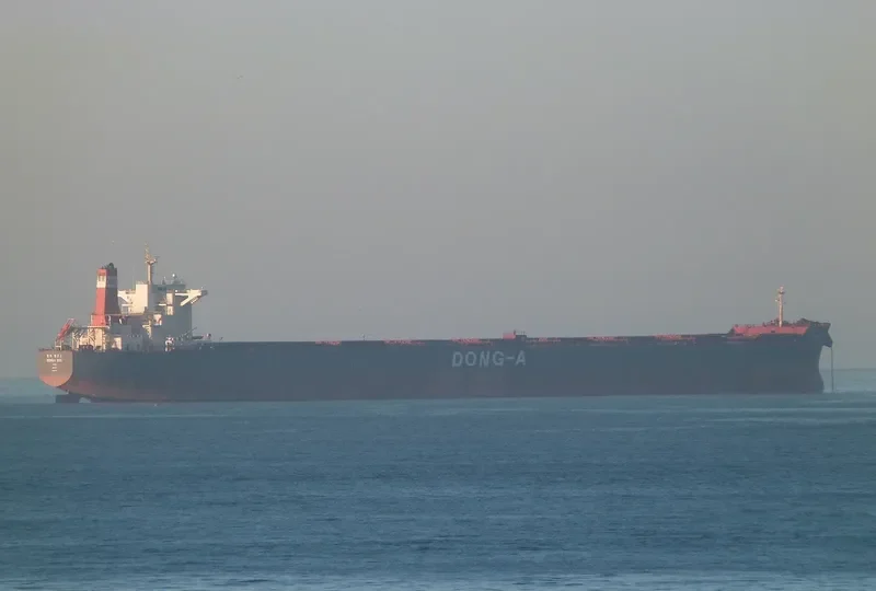 DONG A EOS Bulk Carrier IMO 9452579 photo 10