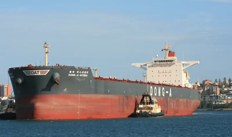 DONG A ASTREA Bulk Carrier IMO 9452581 photo 3