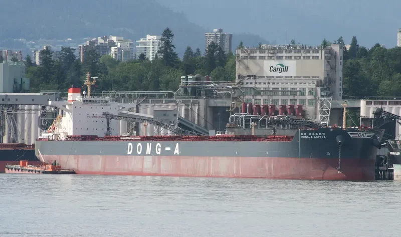 DONG A ASTREA Bulk Carrier IMO 9452581 photo 6