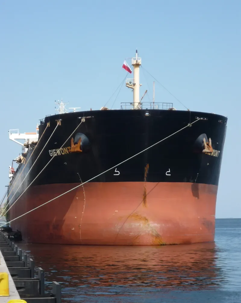 GIEWONT Bulk Carrier IMO 9452593 photo 9