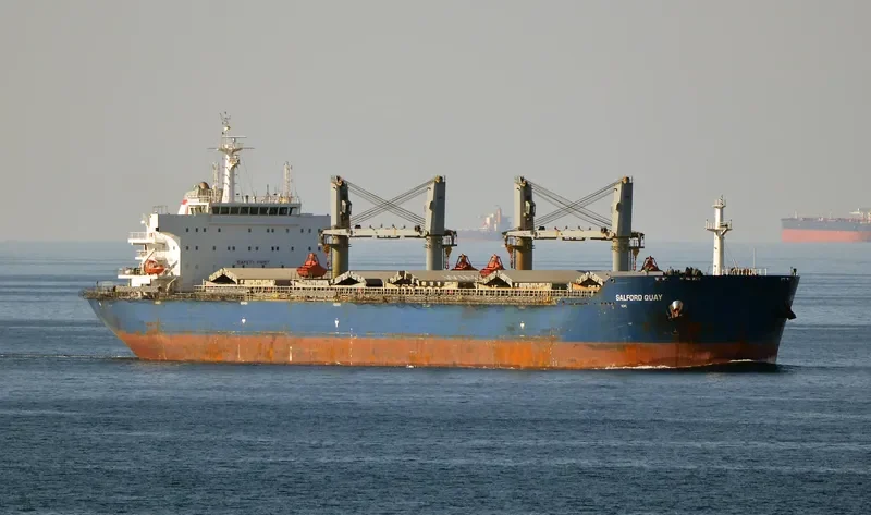 JIU HENG Bulk Carrier IMO 9452646