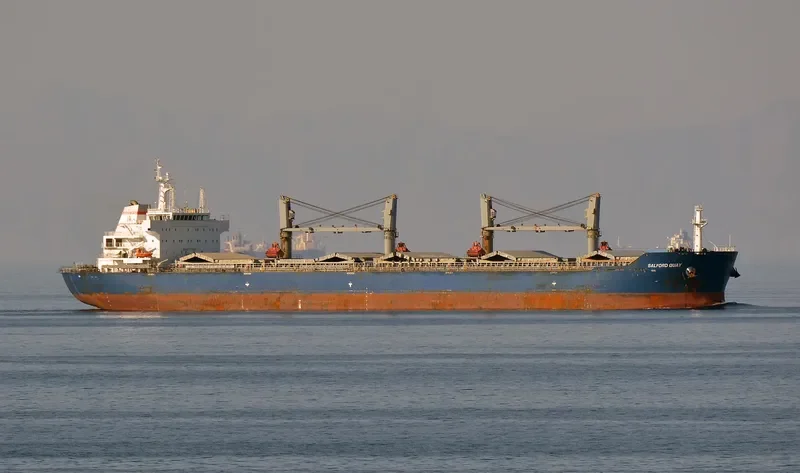JIU HENG Bulk Carrier IMO 9452646 photo 2