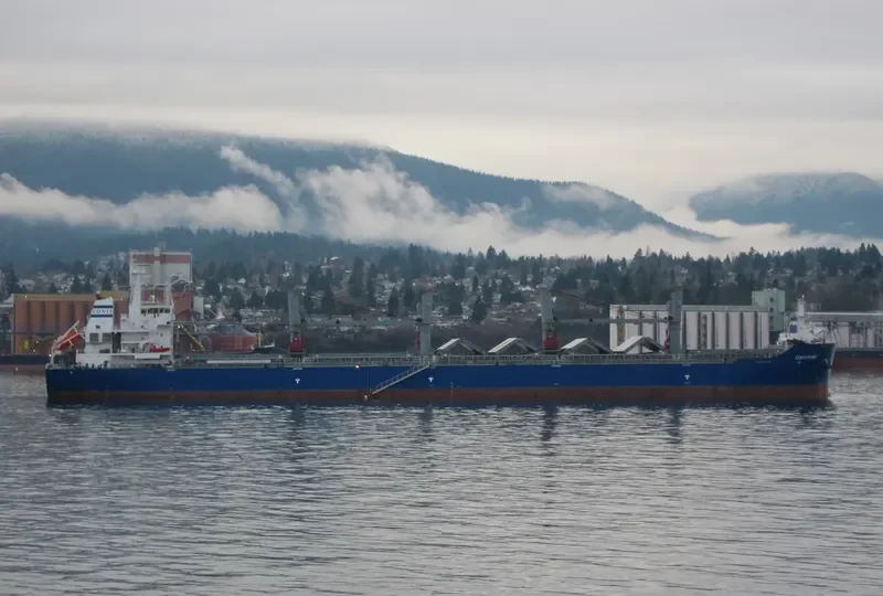 JIU HENG Bulk Carrier IMO 9452646 photo 3