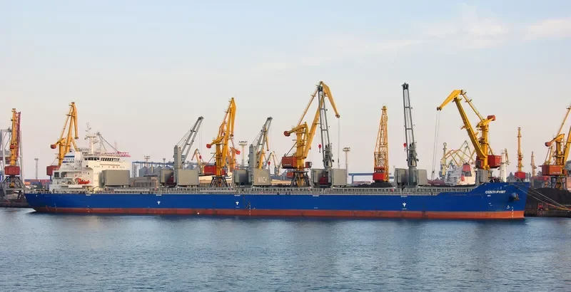 JIU HENG Bulk Carrier IMO 9452646 photo 4