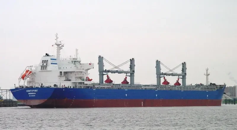 JIU HENG Bulk Carrier IMO 9452646 photo 7