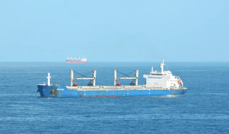 JIU HENG Bulk Carrier IMO 9452646 photo 10