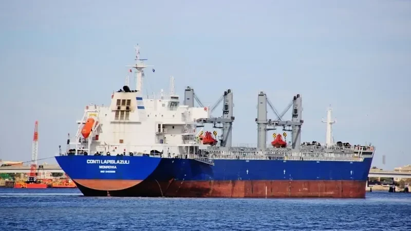 INCREDIBLE BLUE Bulk Carrier IMO 9452658 photo 2