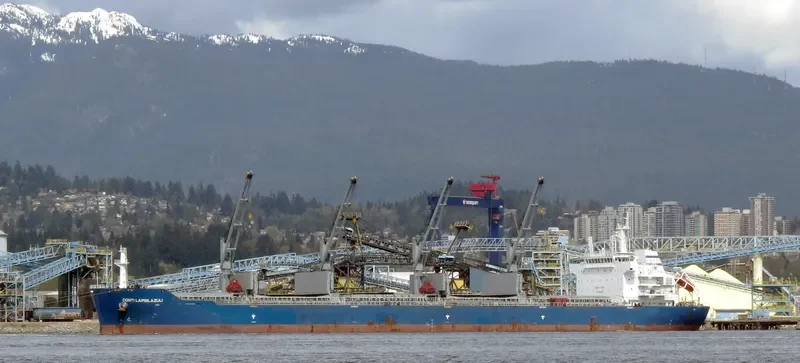 INCREDIBLE BLUE Bulk Carrier IMO 9452658 photo 3