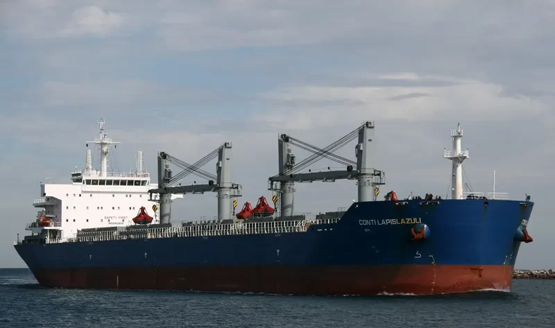 INCREDIBLE BLUE Bulk Carrier IMO 9452658 photo 5