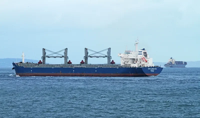 INCREDIBLE BLUE Bulk Carrier IMO 9452658 photo 6
