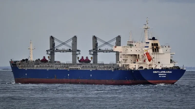 INCREDIBLE BLUE Bulk Carrier IMO 9452658 photo 7