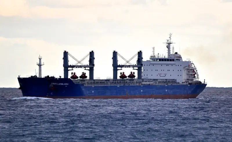 INCREDIBLE BLUE Bulk Carrier IMO 9452658 photo 8