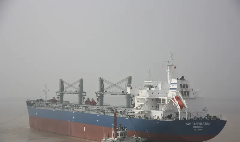 INCREDIBLE BLUE Bulk Carrier IMO 9452658 photo 9