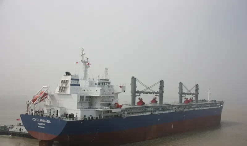INCREDIBLE BLUE Bulk Carrier IMO 9452658 photo 10