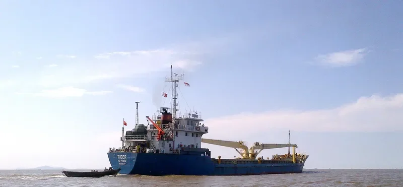 TIGER General Cargo IMO 9452751