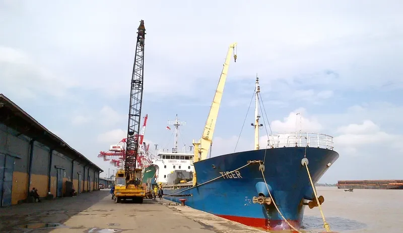 TIGER General Cargo IMO 9452751 photo 2