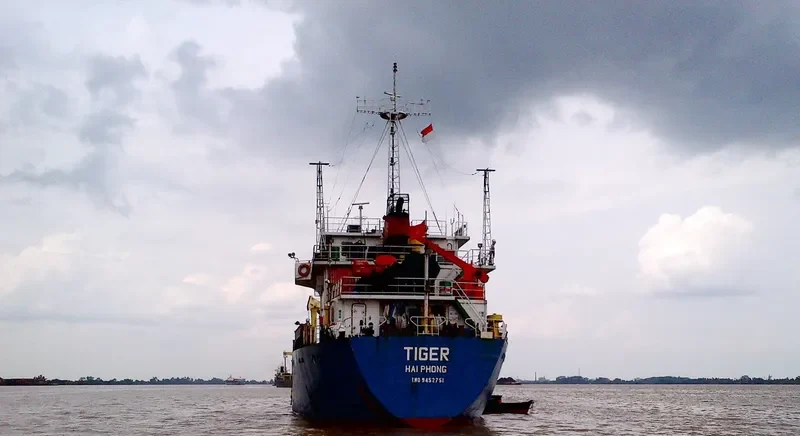 TIGER General Cargo IMO 9452751 photo 4