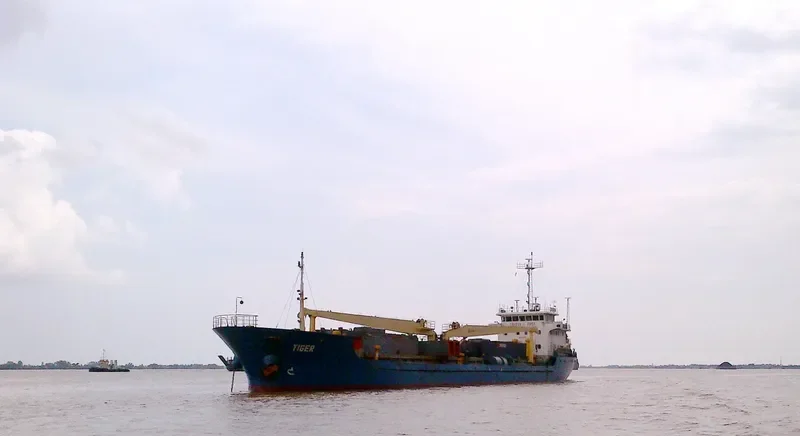 TIGER General Cargo IMO 9452751 photo 5