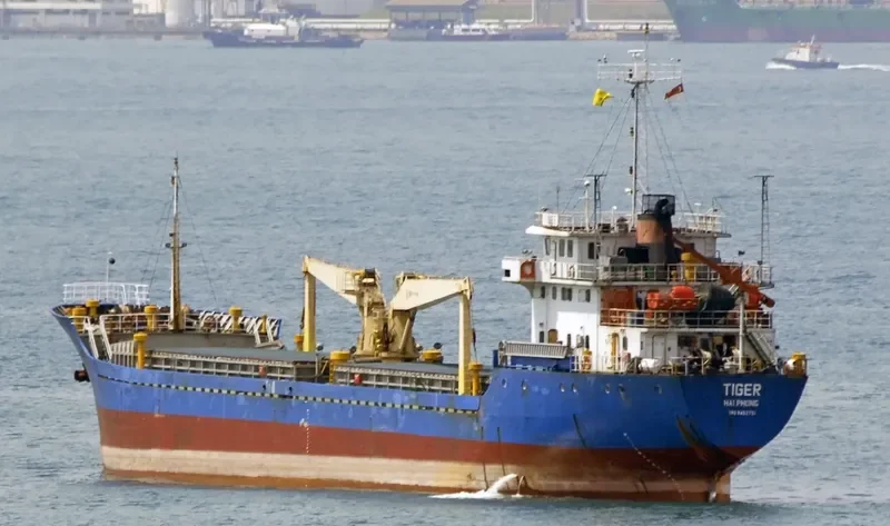 TIGER General Cargo IMO 9452751 photo 7
