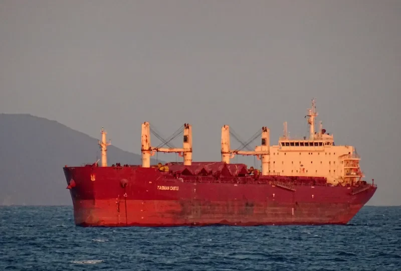SUPER TRADER Bulk Carrier IMO 9452854