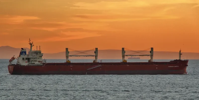 SUPER TRADER Bulk Carrier IMO 9452854 photo 4