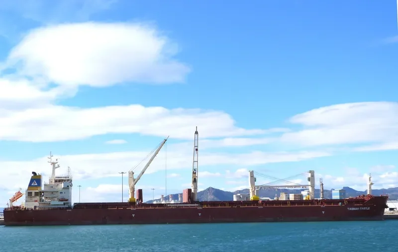 SUPER TRADER Bulk Carrier IMO 9452854 photo 6