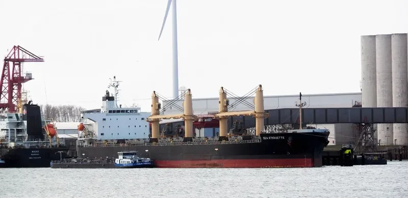 SEA ETIQUETTE Bulk Carrier IMO 9452907 photo 6
