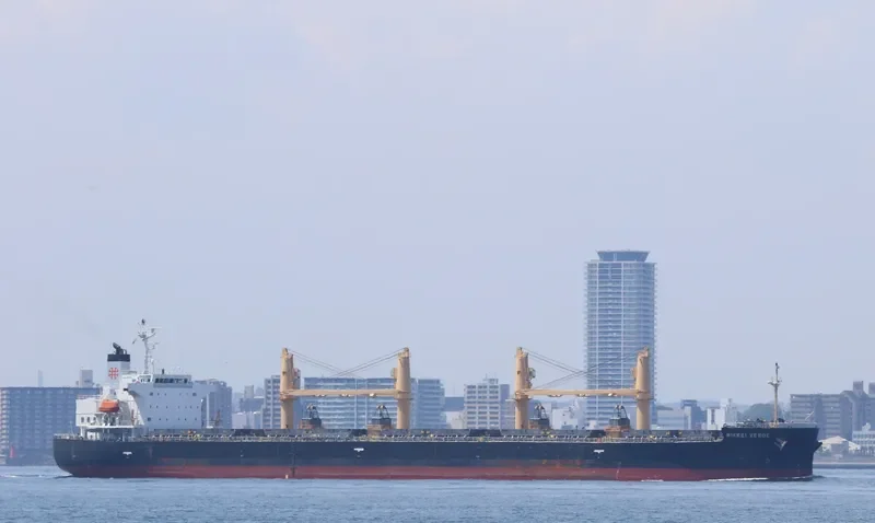 SEA ETIQUETTE Bulk Carrier IMO 9452907 photo 9