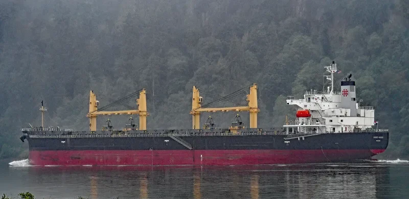 SEA ETIQUETTE Bulk Carrier IMO 9452907 photo 10