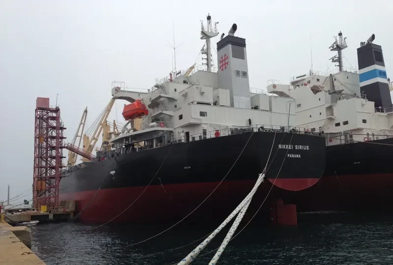 NIKKEI SIRIUS Bulk Carrier IMO 9452919