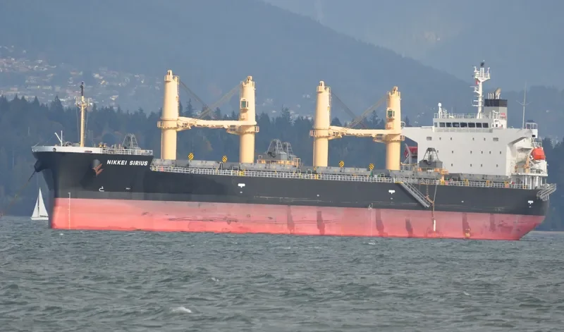 NIKKEI SIRIUS Bulk Carrier IMO 9452919 photo 6
