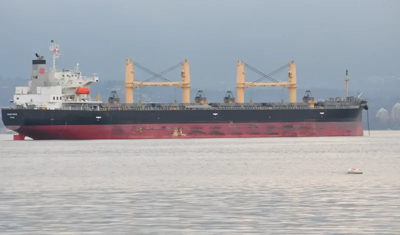 NIKKEI SIRIUS Bulk Carrier IMO 9452919 photo 7