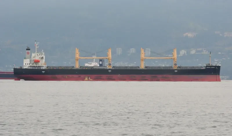 NIKKEI SIRIUS Bulk Carrier IMO 9452919 photo 8