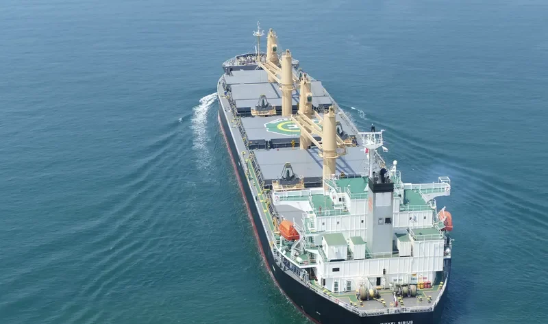 NIKKEI SIRIUS Bulk Carrier IMO 9452919 photo 10