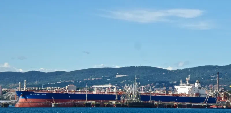 NEVERLAND DREAM Tanker IMO 9453030 photo 5