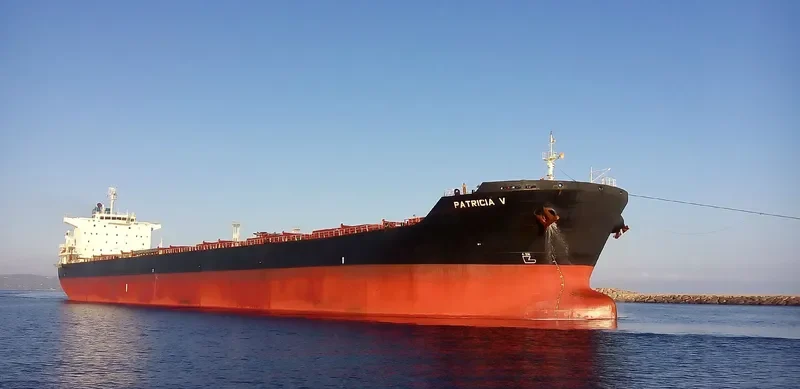 PATRICIA V Bulk Carrier IMO 9453054 photo 3