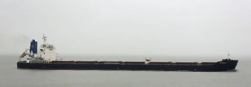 PATRICIA V Bulk Carrier IMO 9453054 photo 5