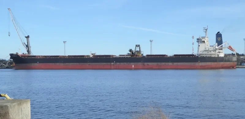 PATRICIA V Bulk Carrier IMO 9453054 photo 8