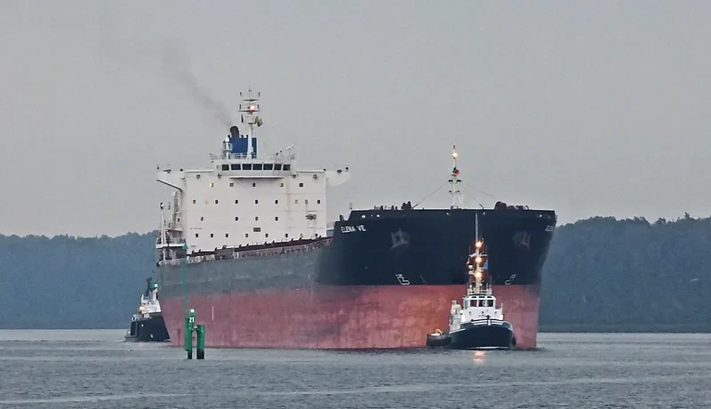 ELENA VE Bulk Carrier IMO 9453066