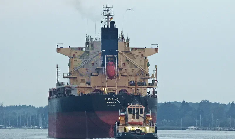 ELENA VE Bulk Carrier IMO 9453066 photo 2