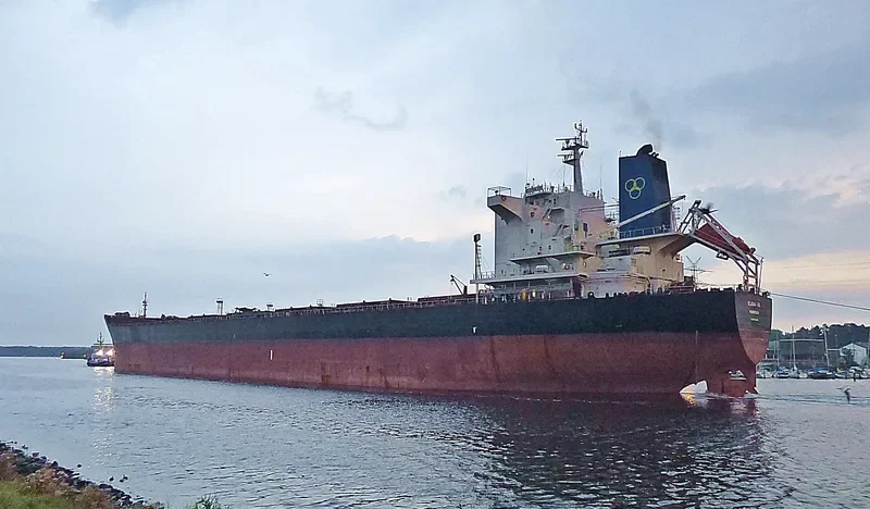 ELENA VE Bulk Carrier IMO 9453066 photo 3