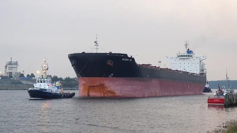 ELENA VE Bulk Carrier IMO 9453066 photo 5