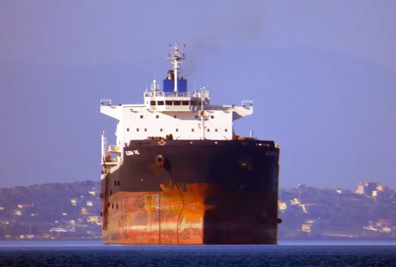 ELENA VE Bulk Carrier IMO 9453066 photo 6