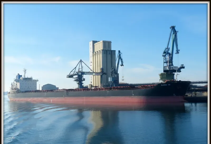 ELENA VE Bulk Carrier IMO 9453066 photo 7
