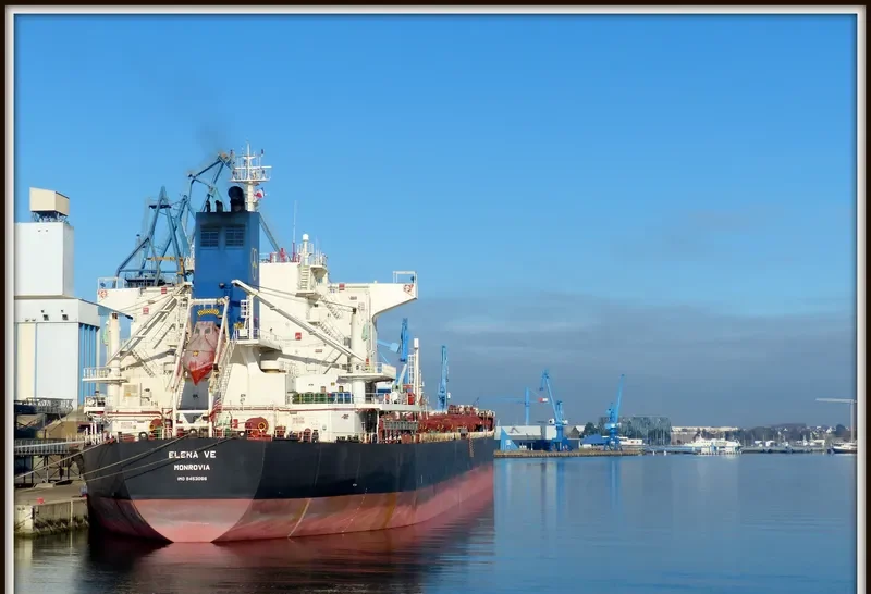 ELENA VE Bulk Carrier IMO 9453066 photo 8