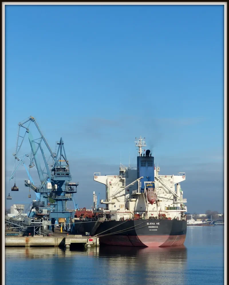 ELENA VE Bulk Carrier IMO 9453066 photo 9
