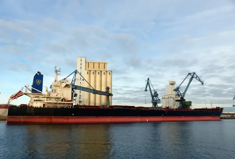 ELENA VE Bulk Carrier IMO 9453066 photo 10