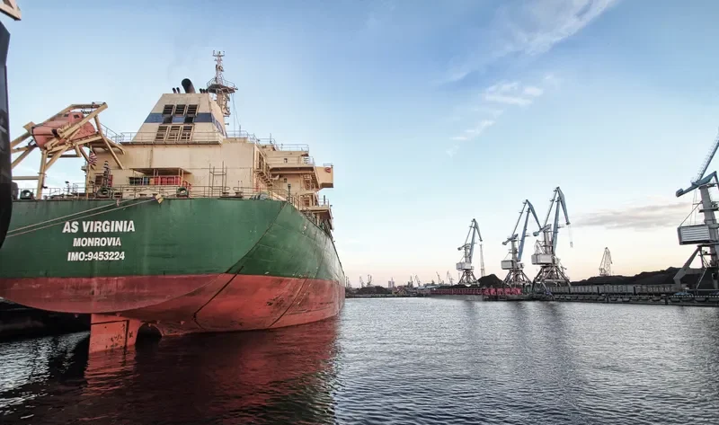 FLC HAPPINESS Bulk Carrier IMO 9453224