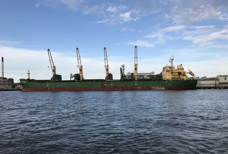 FLC HAPPINESS Bulk Carrier IMO 9453224 photo 2